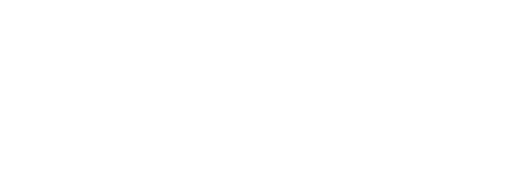 Logo WordPress utilisé pour la création de sites web performants et optimisés SEO.